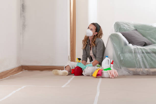 Reliable Mold Testing contractor in Centreville, MD by WQB Mold Removal
